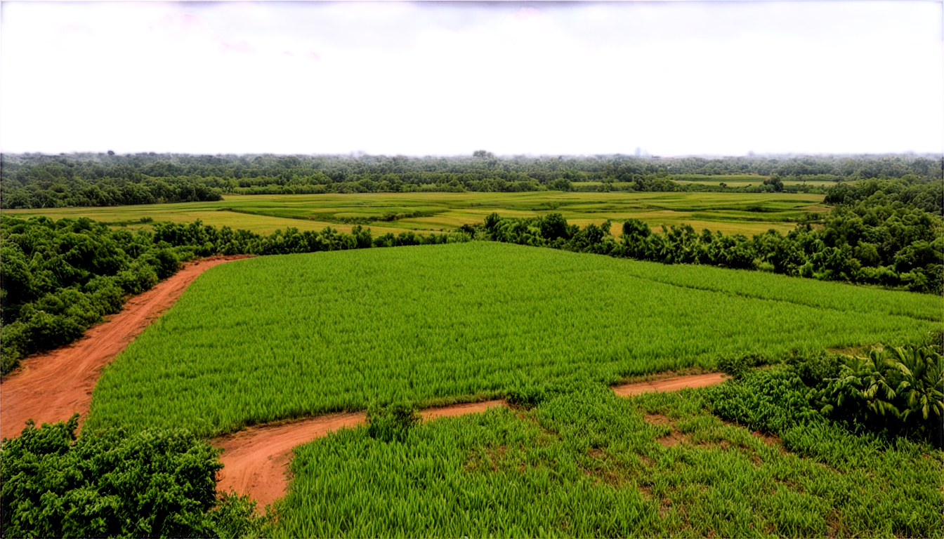 Đất ngoài thành Sài Gòn