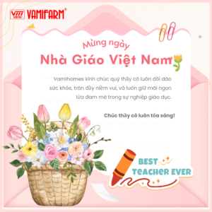Chúc mừng ngày nhà giáo việt nam 20/11