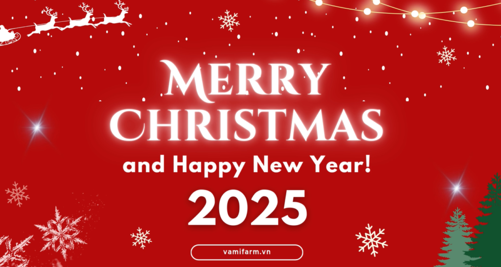 Merry Christmas and Happy New Year 2025